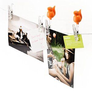 Qualy Design Orange Peg Squirrel Clothespins Clips NEW in box